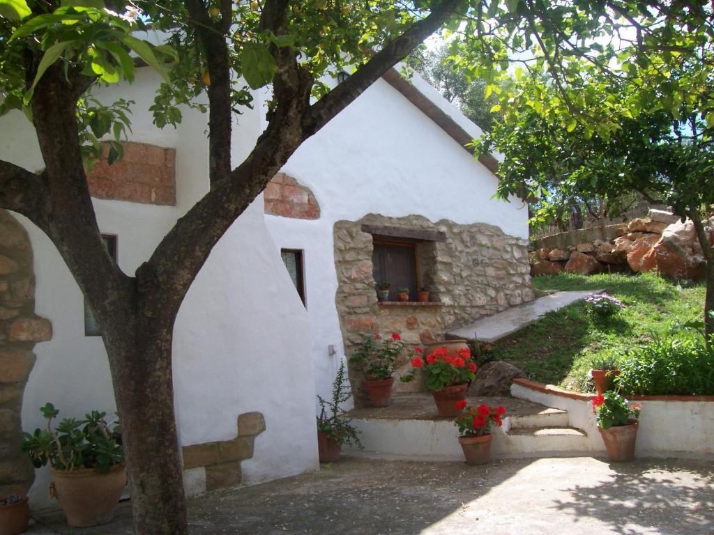 Casa De Abajo Villa Prado Del Rey Phòng bức ảnh