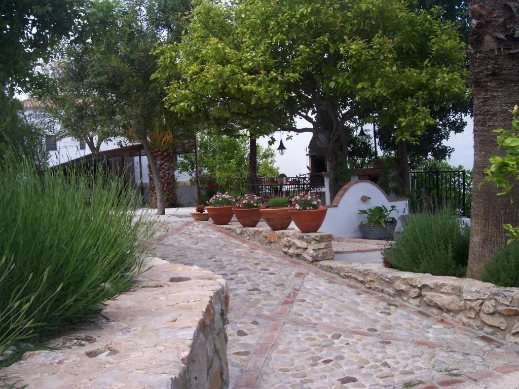 Casa De Abajo Villa Prado Del Rey Ngoại thất bức ảnh