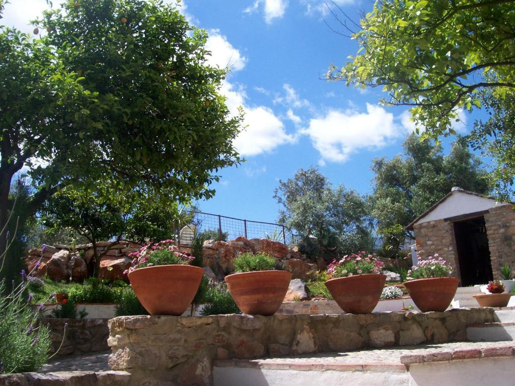 Casa De Abajo Villa Prado Del Rey Ngoại thất bức ảnh