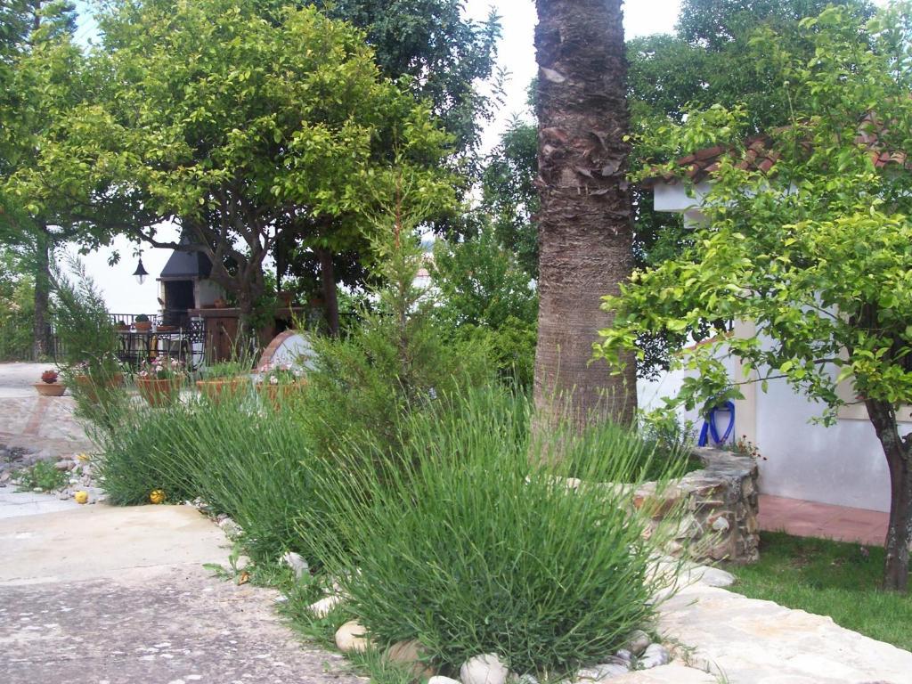 Casa De Abajo Villa Prado Del Rey Ngoại thất bức ảnh