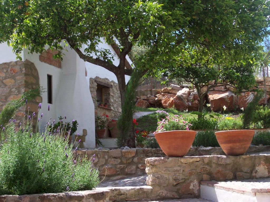 Casa De Abajo Villa Prado Del Rey Ngoại thất bức ảnh