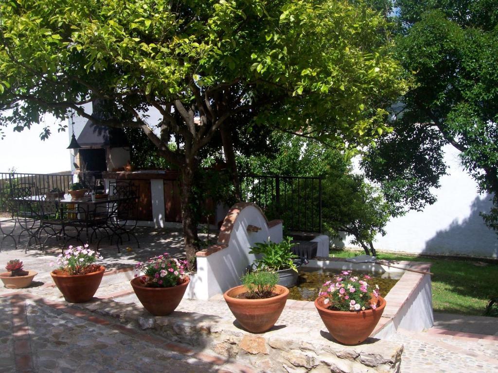 Casa De Abajo Villa Prado Del Rey Ngoại thất bức ảnh